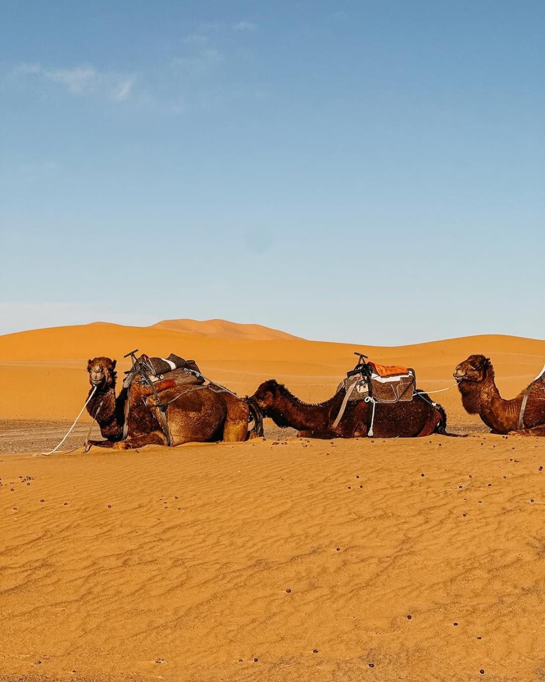 Merzouga Morocco Desert Luxury Camp Eksteriør billede